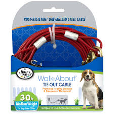 Four Paws Dog Tie-Out Cable For Dogs Over 50lbs, 30'