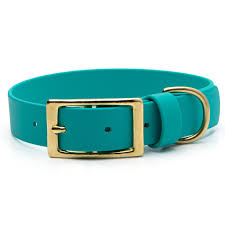 Pro-Mohs BioThane Thin Buckle Collar 3/4X11-16", Teal
