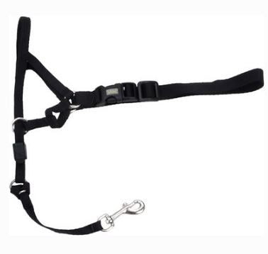 Halti Training Headcollar Size 3, LRG