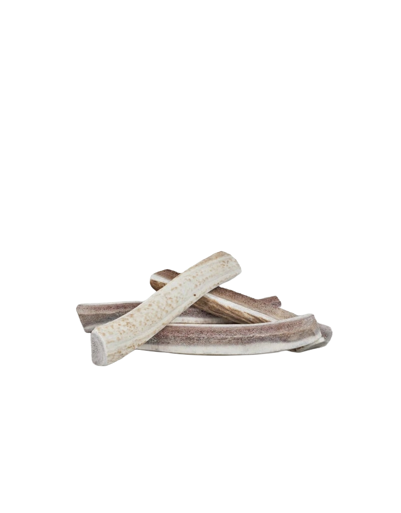 Primal Elk Antler Split, L