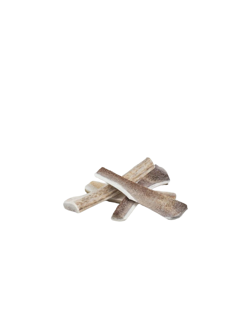 Primal Elk Antler Split, M